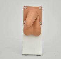 Simulador de condones masculino