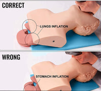 Modelo de intubacion traqueal traqueotomia-Adulto