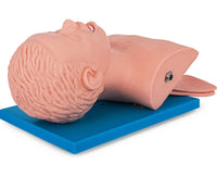 Modelo de intubacion traqueal traqueotomia-Adulto