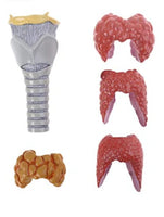 Patologia de tiroides