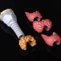 Patologia de tiroides