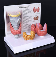 Patologia de tiroides