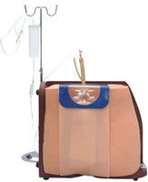 Simulador de columna anestesia espinal epidural