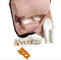 Simulador de columna anestesia espinal epidural