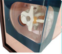 Simulador de columna anestesia espinal epidural