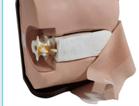 Simulador de columna anestesia espinal epidural