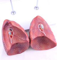 Modelo Anatomico de Pulmon