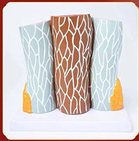 Modelo De Anatomia De Arterias Venas