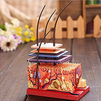 4D Modelo Estructura de Piel Humana con cabello pelo