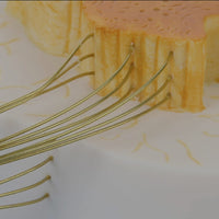 Modelo Medula Nervio Cordon Espinal