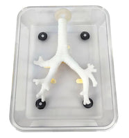 Simulador laparoscopia de Broncoscopia endoscopia bronquial bronquios