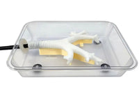 Simulador laparoscopia de Broncoscopia endoscopia bronquial bronquios