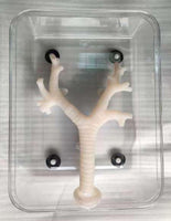 Simulador laparoscopia de Broncoscopia endoscopia bronquial bronquios