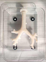 Simulador laparoscopia de Broncoscopia endoscopia bronquial bronquios