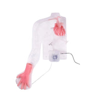 Simulador cirugia Bypass corazon