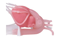 Simulador cirugia Bypass corazon