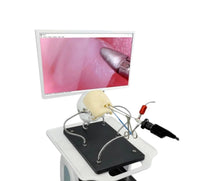 Simulador Neurocirugia endoscopia nasal craneo y cerebro - HD Video avanzado