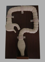 Simulador de colonoscopia