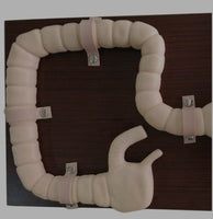 Simulador de colonoscopia