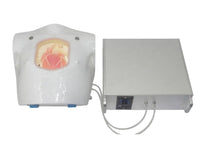 Simulador bypass cardiaco