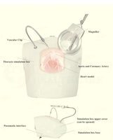 Simulador bypass cardiaco