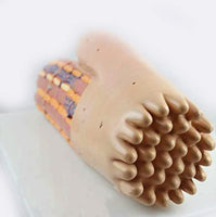 Modelo de Tejido Muscular cardíaco