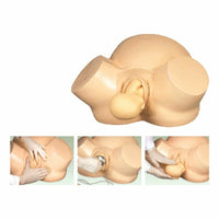 Simulador de parto vaginal simple - Escuelas de medicina