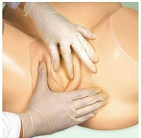 Simulador de parto vaginal simple - Escuelas de medicina