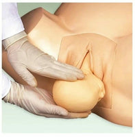Simulador de parto vaginal simple - Escuelas de medicina