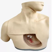 Modelo anatomico simulador alimentacion parenteral