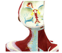 Modelo Anatómico Facial cabeza y cuello / cerebro Y vasos sanguíneos