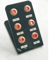 Modelo anatomico de cervix - lesion cervical