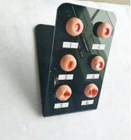 Modelo anatomico de cervix - lesion cervical