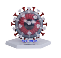 Modelo anatomico de coronavirus COVID-19 SARS-2 corona virus 50 Pzas desmontable