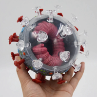 Modelo anatomico de coronavirus COVID-19 SARS-2 corona virus 50 Pzas desmontable
