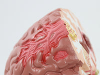 Modelo Cerebral Senil con patología