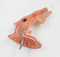 Modelo anatomico de esofago de Barrett patologias