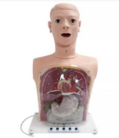 Modelo De Anatomía De Lavado sonda Gastrico Transparente Avanzado simuladores sonda nasogastrica