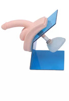 Modelo entrenamiento de cateterismo femenino enema