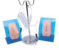 Modelo entrenamiento de cateterismo femenino enema