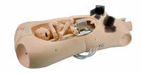 Simulador Parto Electrico - torso de entrenamiento obstetrico avanzado