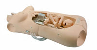 Simulador Parto Electrico - torso de entrenamiento obstetrico avanzado