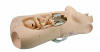 Simulador Parto Electrico - torso de entrenamiento obstetrico avanzado