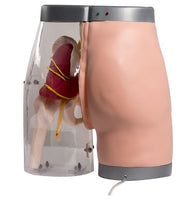 Modelo simulación de inyección intramuscular inteligente