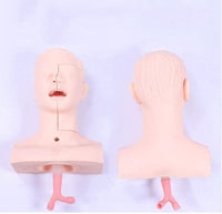 Modelo de Entrenamiento de intubacion Oral de cavidad Nasal - Simuladores traqueal