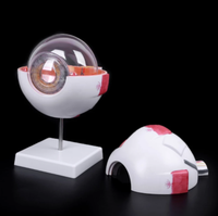Modelo de Ojo "globo" anatomico ocular desmontable