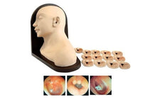 Modelo De Examen De Oido - simuladores medicos