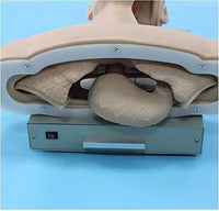 Simulador avanzado de entrenamiento de intubación traqueal con Alarma - traquea