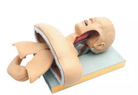 Simulador avanzado de entrenamiento de intubación traqueal con Alarma - traquea
