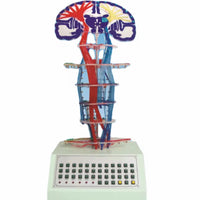 Simulador conducción nerviosa eléctrica